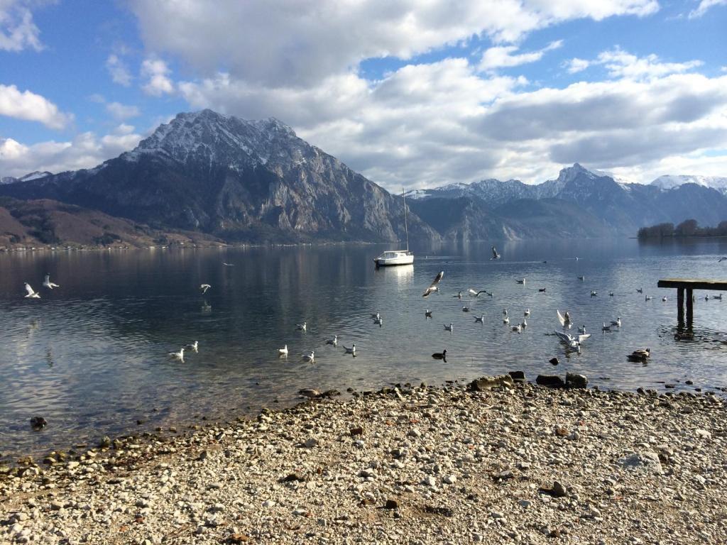 Apartment Parkvilla Traunsee Altmuenster Luaran gambar